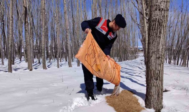 Yozgat'ta jandarma ekipleri, olumsuz hava şartları nedeniyle beslenmekt...