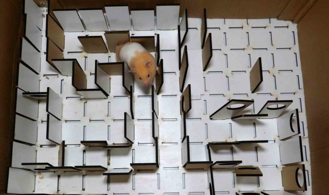 Adana'da lise öğrencisi Mehmet Arhan Sezgili, deprem ve diğer afetlerde...