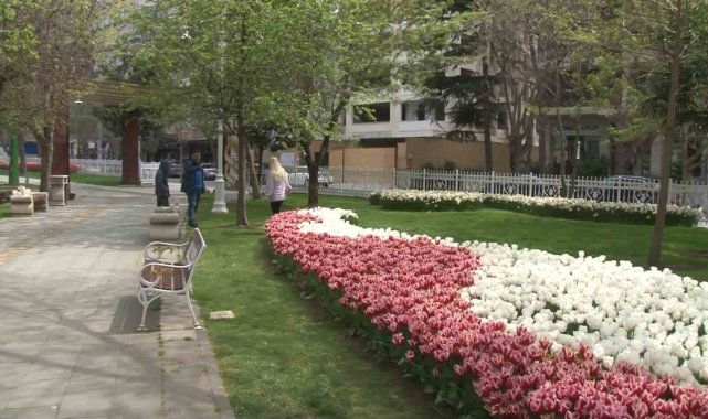 Göztepe 60. Yıl Parkı'na 70 çeşit olmak üzere 2 milyon lale soğanı diki...