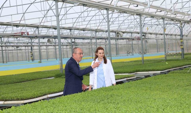 Konya'nın ilk ve tek sebze fidesi üretim tesisi Konya Fide'de yeni ...