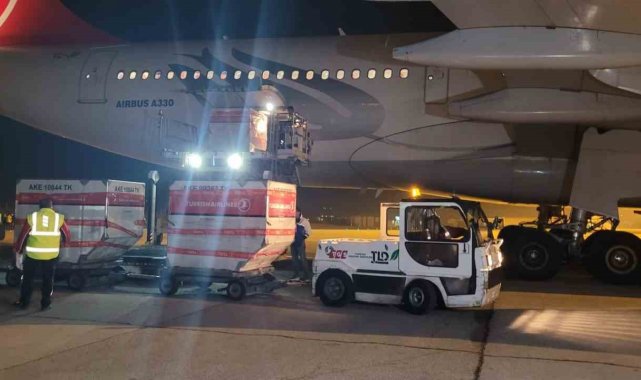 28 Mayıs'ta yapılacak olan Cumhurbaşkanı seçiminin 2. turu için yurt dışında