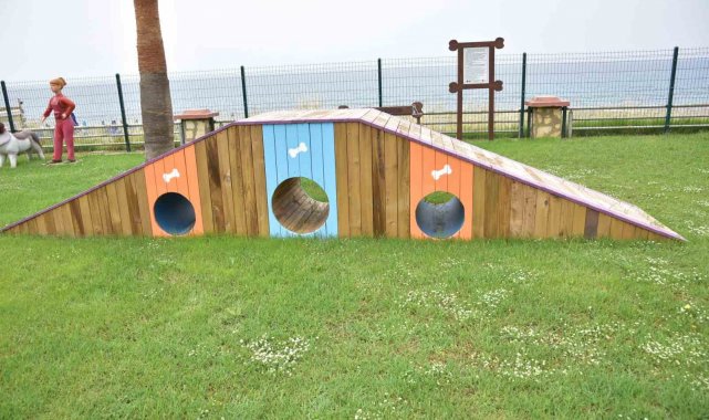 Alanya Belediyesi Mahmutlar Mahallesi'nde köpekler için oyun ve eğitim ...