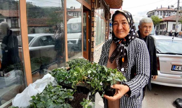Bolu'nun Mudurnu ilçesinde Ziraat Odası Başkanlığı tarafından yoğun tal...