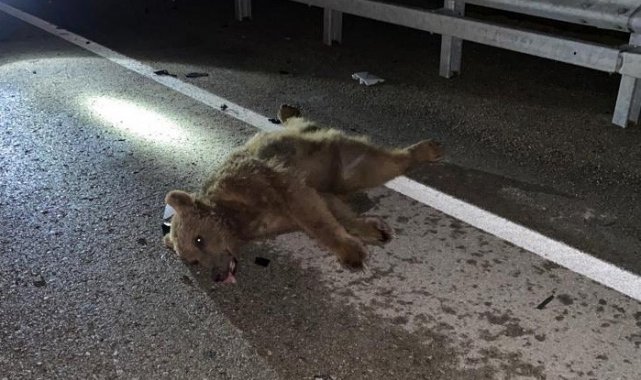 Gümüşhane-Bayburt karayolunda gece meydana gelen trafik kazasında otomobili...