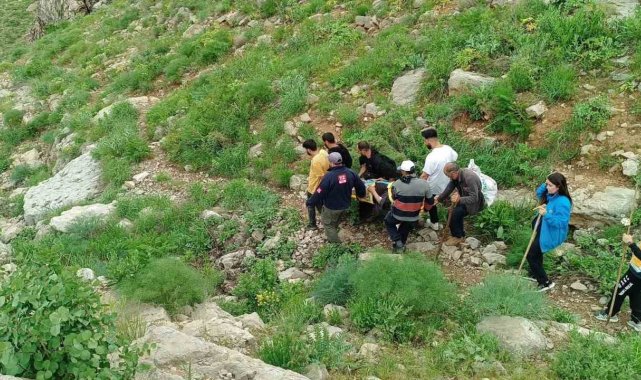 Hakkari'nin Kaval köyünde pancara giderken rahatsızlanan 50 yaşındaki M...