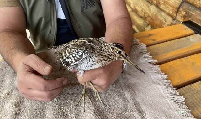 Iğdır'ın Aralık ilçesi Yukarı Çamurlu köyünde vatandaşlar tarafından bu...