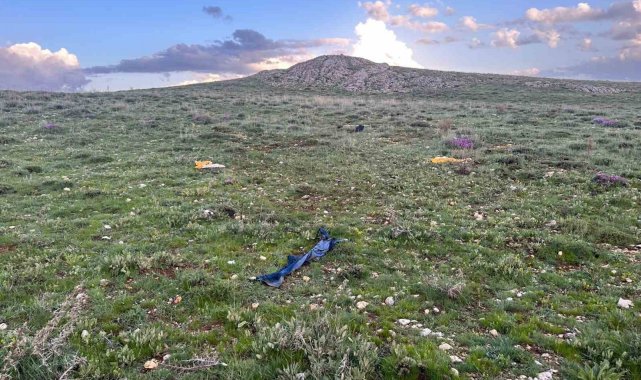 Kahramanmaraş'ın Elbistan ilçesinde 53 yaşındaki çoban, hayvan otlatmay...