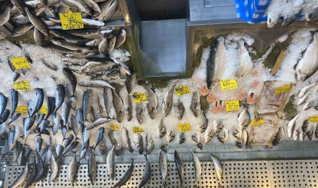 Kış mevsiminde sofralarda en çok tüketilen ürünlerin başında gelen balık, y...