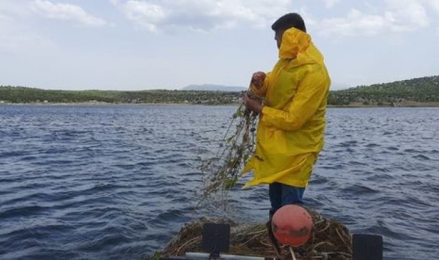 Konya'nın Beyşehir ilçesinde kaçak balık avı yapılmasının önüne geçilme...