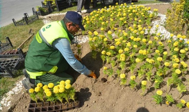 Konya'nın Ereğli İlçe Belediyesi Park ve Bahçeler Müdürlüğü ekipleri, b...