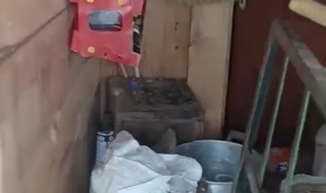 Rize'nin Çamlıhemşin ilçesinde aç kalan ayılar yaylada bulunan evleri t...