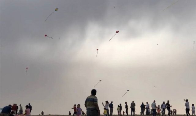 Şanlıurfa'nın Ceylanpınar ilçesinde bir araya gelen yüzlerce aile, sını...