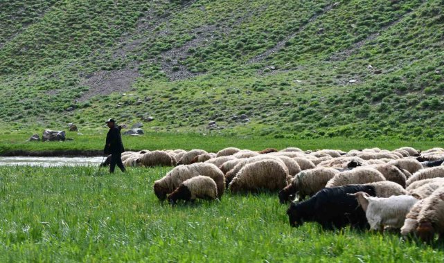 Şırnak'ın Beytüşşebap ilçesinde baharın gelişiyle beraber çekilen fotoğ...