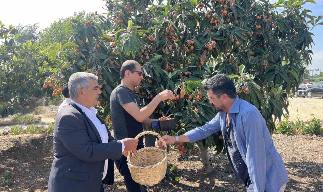 Tarsus Belediyesince şelale mevkinde oluşturulan engelsiz tarım alanında, T...