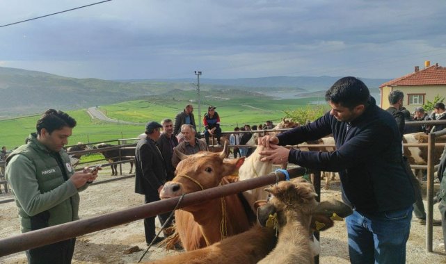Yozgat'ta il genelindeki tüm hayvan pazarları şap hastalığı tehlikesi n...