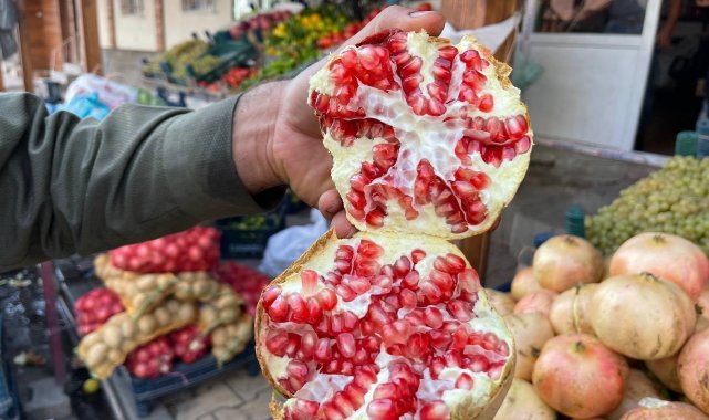Avrupa Birliği Şanlıurfa'nın Suruç ilçesinde üretilen narın tescilli co...