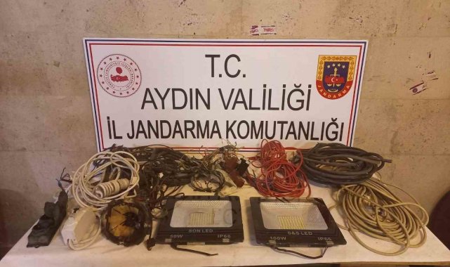 Aydın'ın Germencik ilçesinde bir hayvan çiftliğinden meydana gelen hırs...