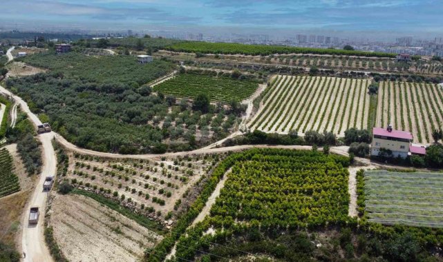Mersin'in Tarsus ilçesinde etkili olan aşırı yağışlar nedeniyle meydana...