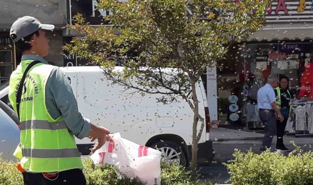 Muğla'nın Menteşe ilçesinde öğle saatlerinde Orhaniye Mahallesi İsmet Ç...