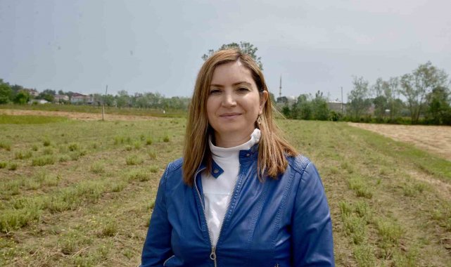 Samsun'da, "Tıbbi ve Aromatik Bitki Yetiştiriciliğinin Yaygınlaştı...