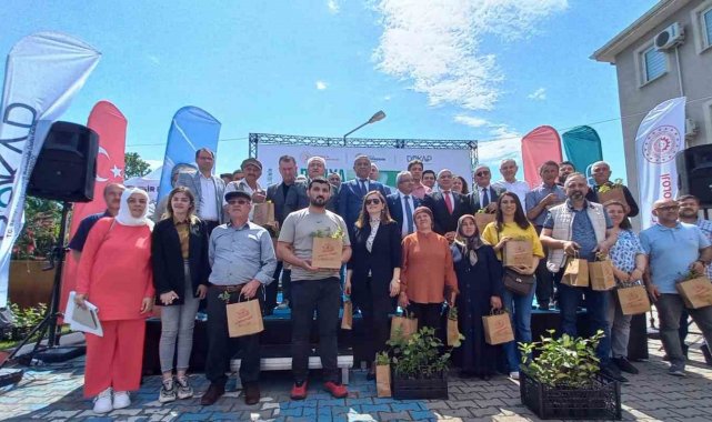 Samsun'un Çarşamba ilçesinde üreticilere tek seferde hasat yapılabilen,...
