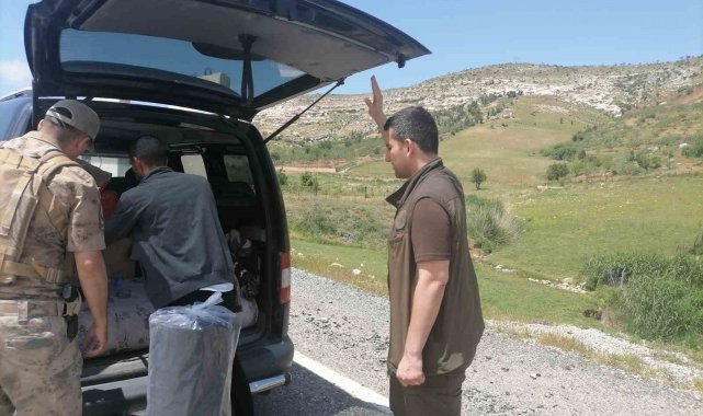 Siirt'te Doğa Koruma ve Milli Parklar Şube Müdürlüğü ekiplerince, biyok...