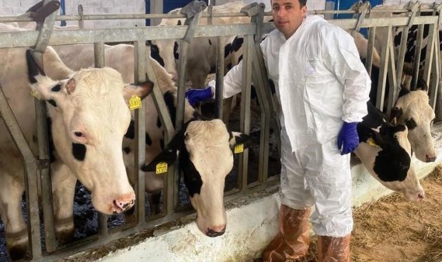 Simav İlçe Tarım ve Orman Müdürlüğü ekipleri, ilçeye yurtdışından ithal edi...