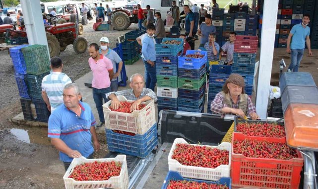 Türkiye'nin en verimli yaylarının başında gelen Aydın ve İzmir'in z...