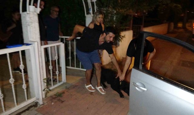 Antalya'nın Manavgat ilçesinde eşi ve köpeğine doberman cinsi köpeğin s...