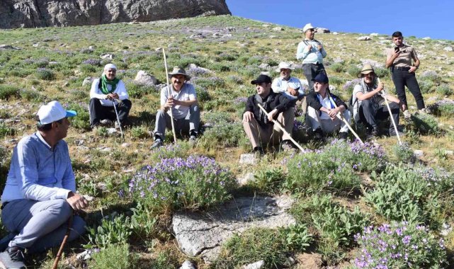 Batman'ın Sason ilçesinde bulunan 3 bin rakımlı Mereto Dağının zirvesin...