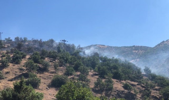 Bingöl'ün Genç ilçesine bağlı bir köyün ormanlık alanında çıkan yangın,...