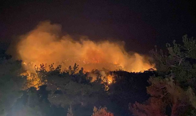 Çanakkale merkeze bağlı Sarıbeyli Köyü yakınlarında saat 22.30 sıralarında ...