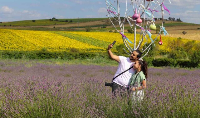 Tokat'ta doğal fotoğraf stüdyosu haline gelen lavanta bahçesi fotoğrafs...