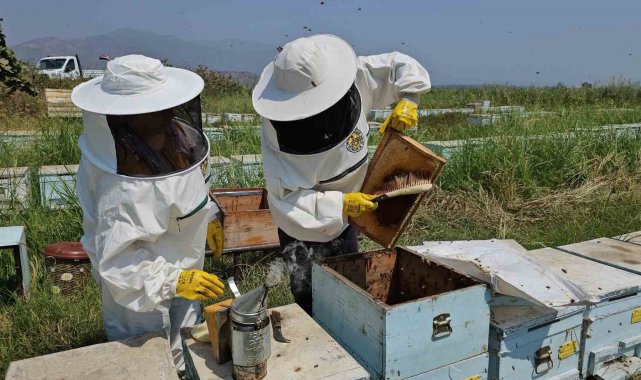 Türkiye'nin en ılıman illerinin başında gelen ve yılın yarsından fazla ...