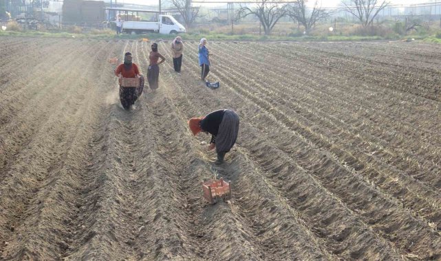 Türkiye'nin önemli sebze ve meyve üretim merkezlerinin başında gelen Ay...