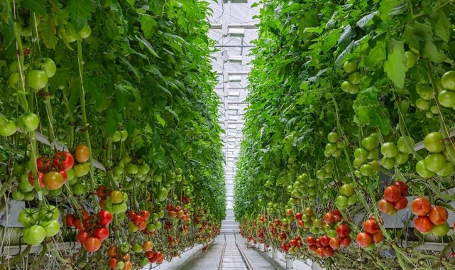 2024-2026 yıllarını kapsayan ve 6 Eylül 2023 tarihli Resmi Gazete'de ya...