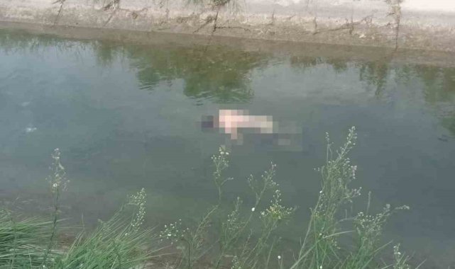 Adana'da dün gece sulama kanalında kaybolan gencin cesedi, bugün 27 kil...  - Asayiş - Kamu Haber