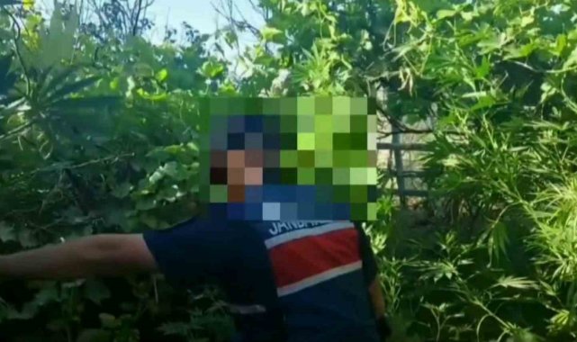 Aksaray'da müstakil bir ikamete uyuşturucu operasyonu düzenleyen jandar...