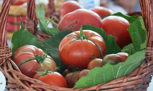 Ankara Gölbaşında düzenlenen "Agrotec 26. Uluslararası Tarım Fuarı&quo...