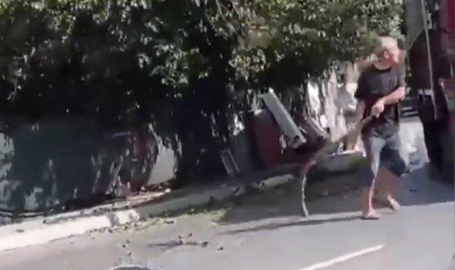 Arnavutköy'de iddiaya göre yola sarkan ağacın dallarına çarparak zarar ...