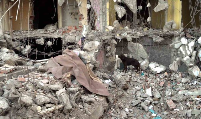 Balıkesir Büyükşehir Belediyesi İtfaiye Dairesi Başkanlığı'na bağlı Yıl...