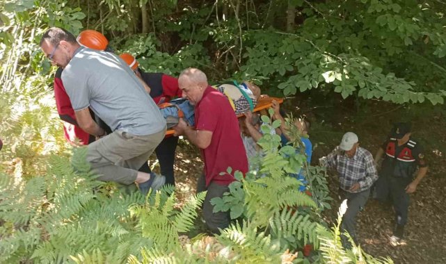 Bolu'da odun yüklü traktörün 15 metrelik uçurumdan uçması neticesinde s...