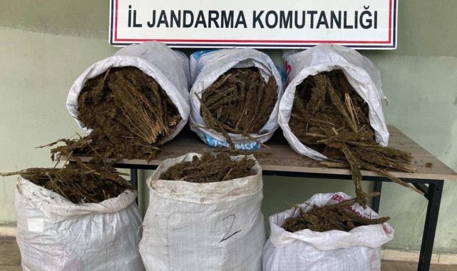 Diyarbakır'da jandarma ekiplerinin iki ilçede düzenlediği uyuşturucu op...