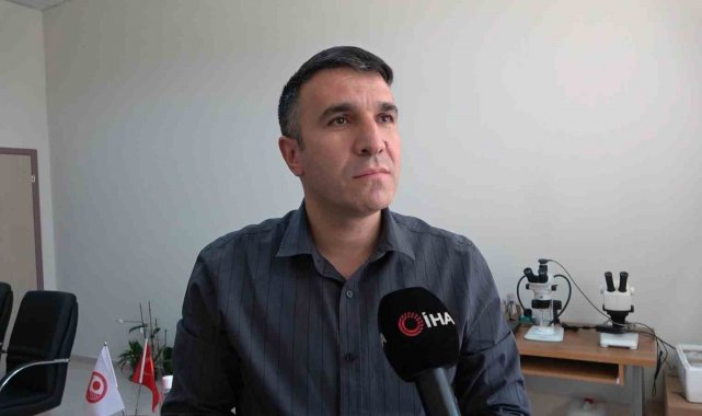 Dünyanın en zehirli örümcekleri arasında olduğu belirtilen 'Argiope lob...