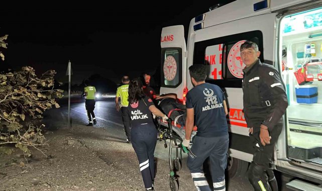 Düzce'de yol kenarındaki trafik tabelasına çarpan motosiklet fındık bah...