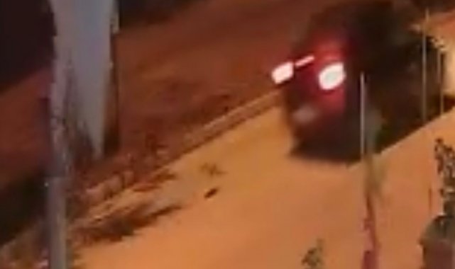 Elazığ'da birden yola fırlayan kedi, seyir halindeki otomobilin altında...