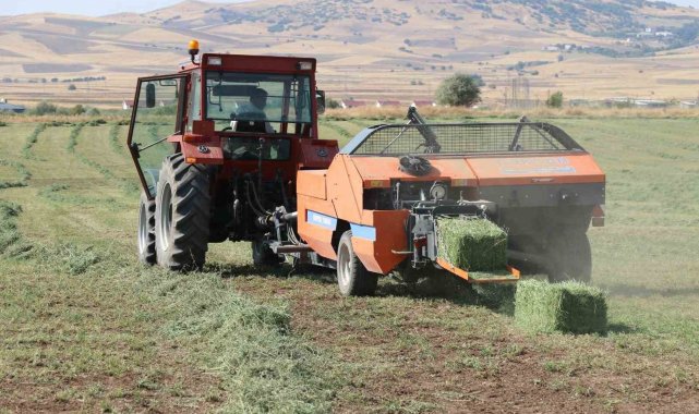 Elazığ'da hasat edilen yonca bitkisinin balyalama mesaisi başladı.
Ela...