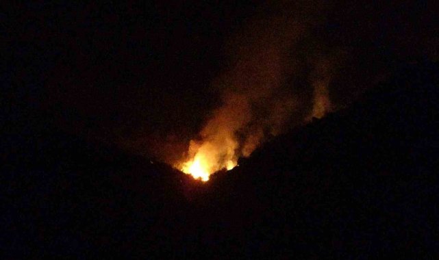 Hatay'ın Altınözü ilçesinde zeytinlik alanda çıkan yangın, ekiplerin ça...