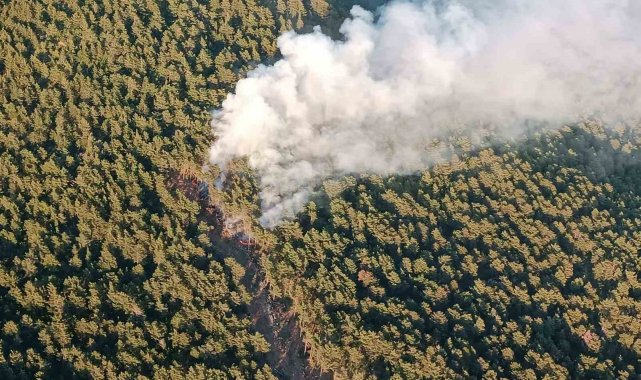 Hatay'ın Samandağ ilçesinde ormanlık alanda çıkan yangına ekiplerin hav...