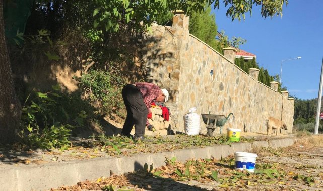 Kabuğunun ince ve doluluk oranının fazla olması sebebiyle tüketiciden yoğun...